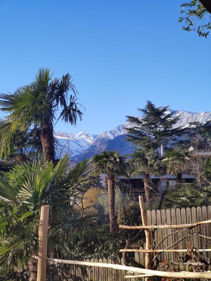 Nora S Home 4 - Panoramic Terrace & Bio Garden Merano Dış mekan fotoğraf