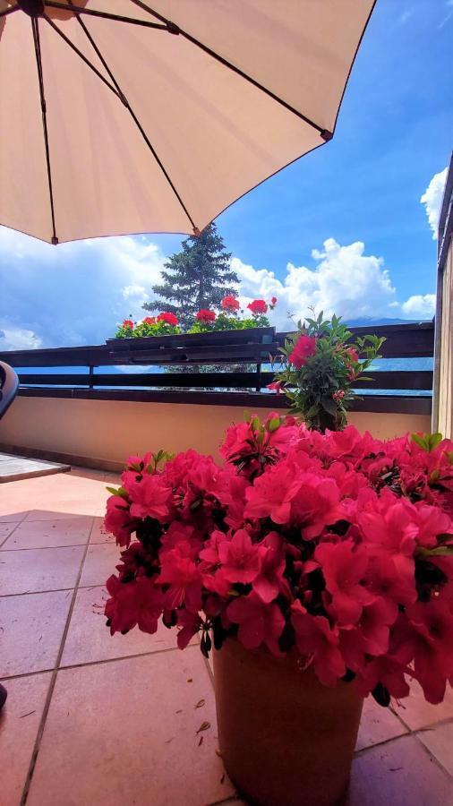 Nora S Home 4 - Panoramic Terrace & Bio Garden Merano Dış mekan fotoğraf